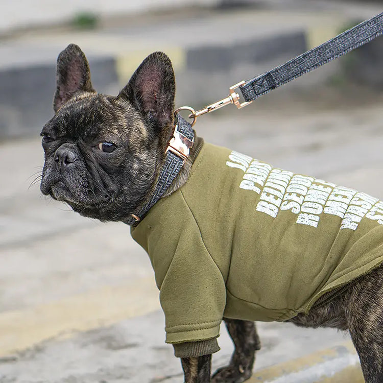 Outdoor Eco-friendly Portable Durable Nylon Metal Buckle Adjustable Strong Pet Dog Collars